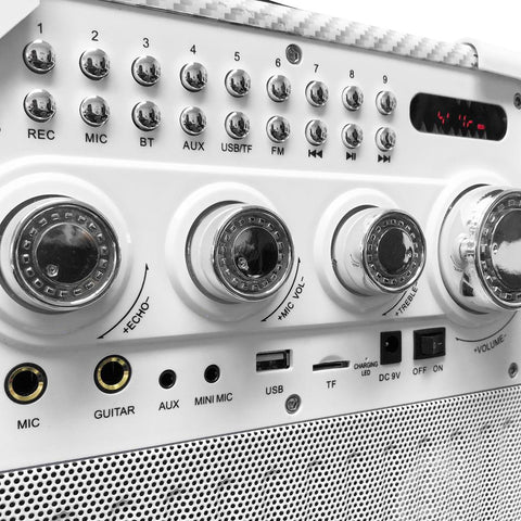 Premium Bluetooth Karoke Speaker